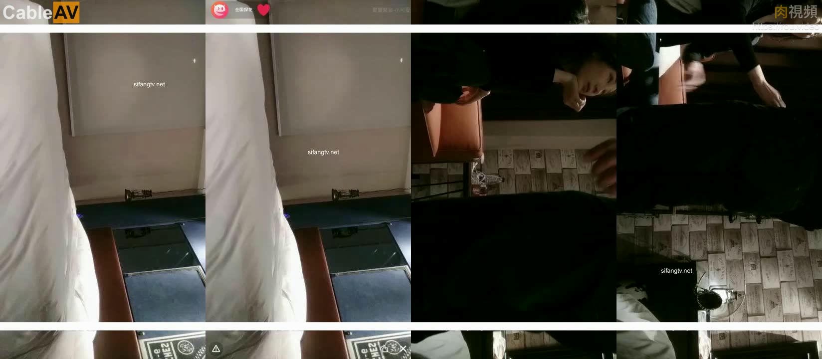 探花 全国探花_(new)