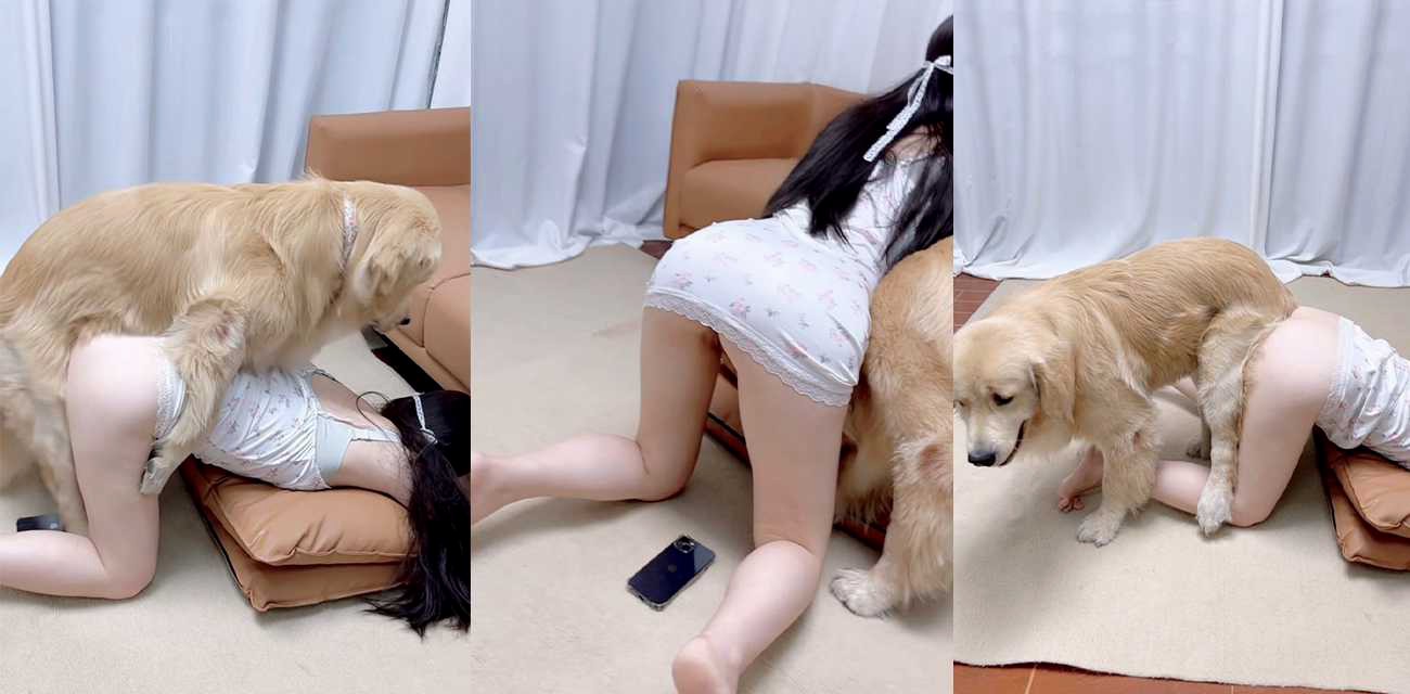 香香公主兽交科普第六弹 穿着清凉让狗狗舔逼 双视角清晰拍摄射精瞬间